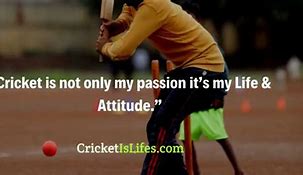 Image result for Cricket Quotes On Clean Bold