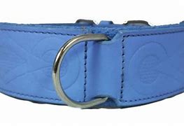 Image result for Staffordshire Pitbull Collar