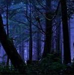 Image result for Dark Forest Coyores Flashlight