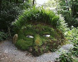 Image result for Moss Head