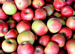 Image result for Red Apple Stock Image