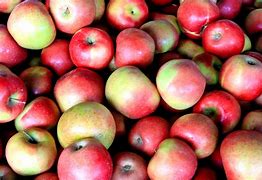 Image result for +Different of Red Apple's