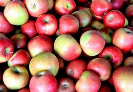 Image result for Apple Fruit Big