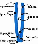 Image result for Zipper Anatomy
