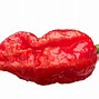 Image result for Most Spicy Pepper