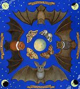 Image result for Antique Bat Prints