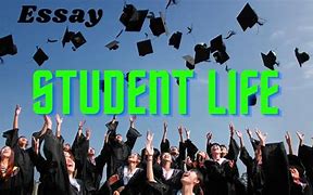 Image result for Student Life Essay