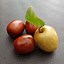 Image result for Jujube Fruit Trees Plant