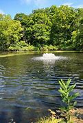 Image result for Delnor Woods Park, IL