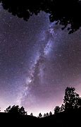 Image result for Milky Way and Trees