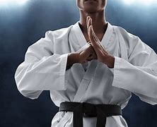 Image result for Traditional Martial Arts Salute
