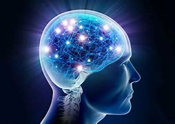 Image result for Brain with Memory