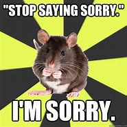 Image result for Stop Saying Sorry Meme