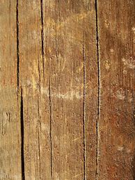 Image result for High Resolution Wood Grain Texture