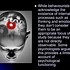Image result for Analogy Skull and Computer