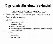Image result for choroba_ptasia