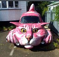 Image result for Cat Car Meme Going Insane
