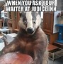 Image result for Taxidermy Cat Meme