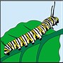 Image result for Caterpillar Cartoon No Background