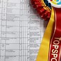 Image result for Small Dressage Arena Diagram