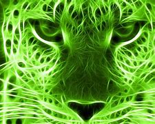 Image result for Neon Green Wallpaper Laptop Aesthetic 1080 X 1040