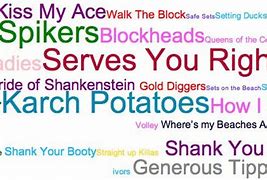Image result for Volleyball Team Names