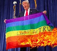 Image result for Being LGBTQ Memes