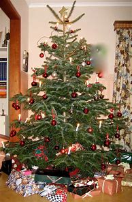 Image result for Swedish Christmas Tree