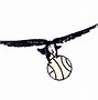 Image result for Atlanta Hawks Throwback Logo