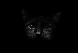 Image result for Dark Home Screen Wallpaper