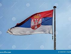 Image result for Serbian Flag-Waving