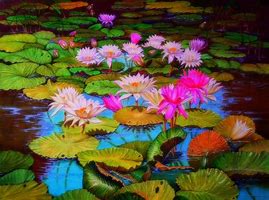 Image result for Lotus and Lily Pad Wallpaper