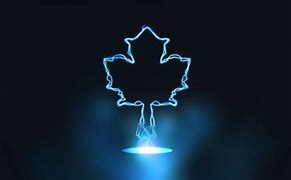 Image result for Maple Leafs Arena