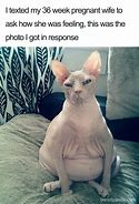 Image result for Good Morning Pregnant Meme