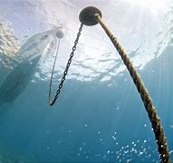 Image result for Anchor in Water
