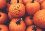 Image result for Fall Backgrounds for Computer