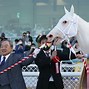 Image result for White Racing Hourse