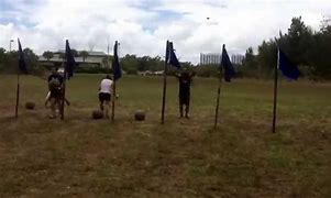 Image result for Obstacle Ball Race