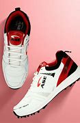 Image result for CA Cricket Shoes