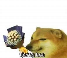 Image result for Meme Về Hoa