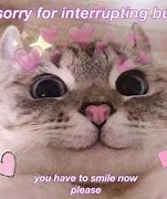 Image result for Happiness Meme Cat