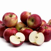 Image result for McIntosh Apple Tree