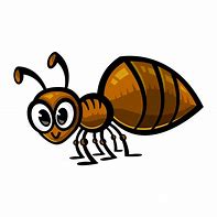 Image result for Bug Cartoon Picture