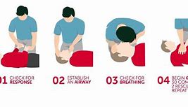 Image result for CPR Check Breathing Clip Art