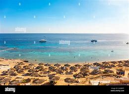 Image result for Red Sea Beach
