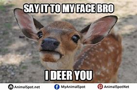 Image result for Scary Deer Meme