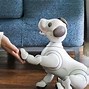 Image result for Aibo Touch
