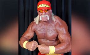 Image result for Hulk Hogan Physique