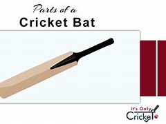 Image result for Cricket Bat Parts Diagram