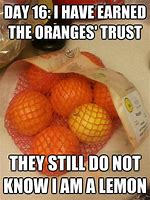 Image result for Funny It Pictures